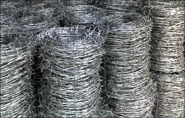14 Gauge Galvanized Steel Double Stranded Barb Wire in 25 kg Rolls